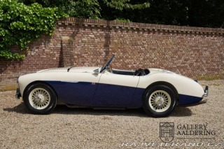 Austin Healey 100-M 1954