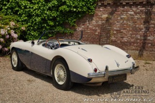 Austin Healey 100-M 1954