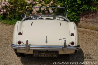 Austin Healey 100-M 1954