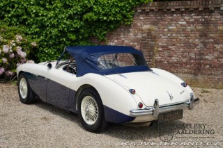 Austin Healey 100-M 1954