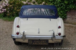 Austin Healey 100-M 1954