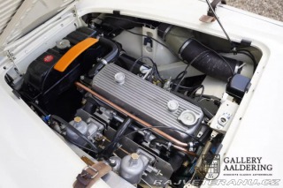 Austin Healey 100-M 1954