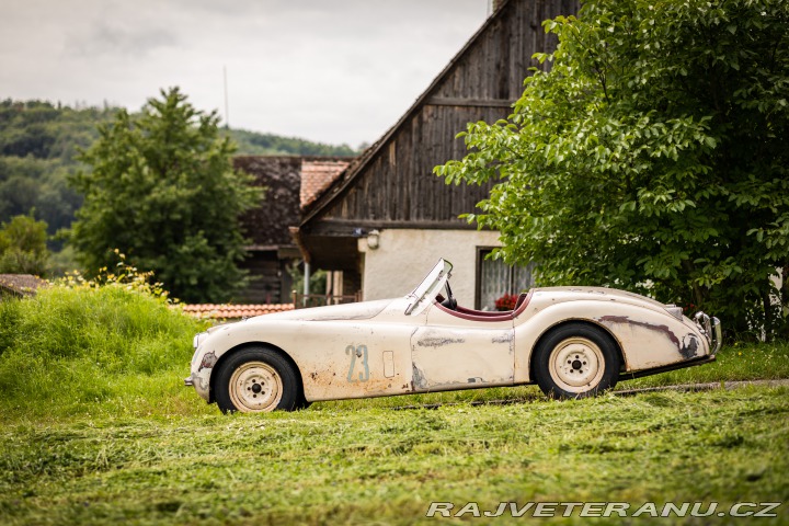 Jaguar XK XK120 1954