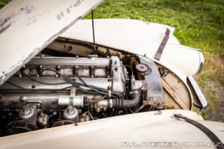 Jaguar XK XK120 1954