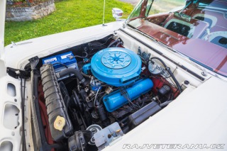 Ford Fairlane 500 Galaxie Skyline 1959