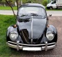 Volkswagen Brouk