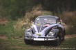 Volkswagen Brouk