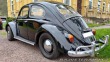 Volkswagen Brouk