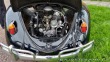 Volkswagen Brouk