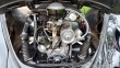 Volkswagen Brouk