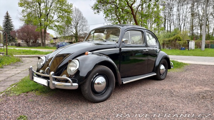 Volkswagen Brouk