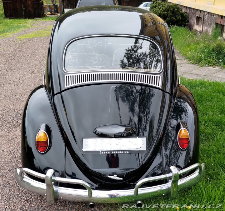 Volkswagen Brouk 1963
