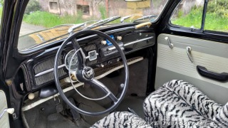 Volkswagen Brouk 1963