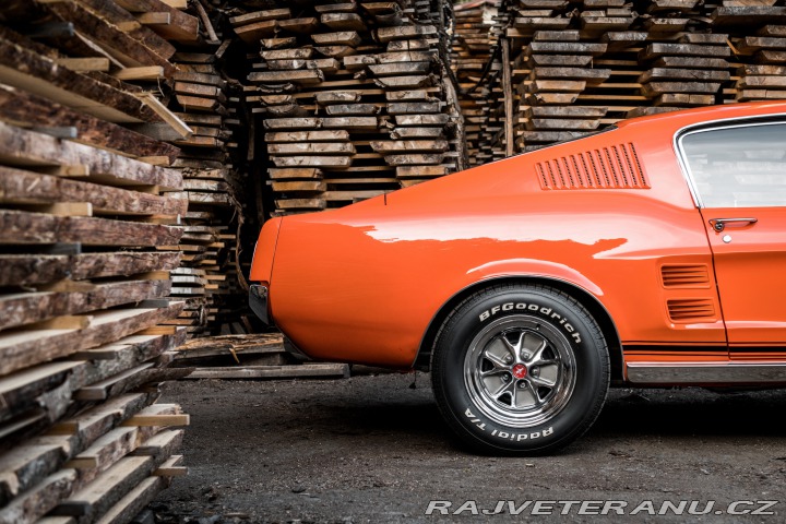 Ford Mustang Fastback 1967