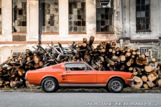 Ford Mustang Fastback 1967