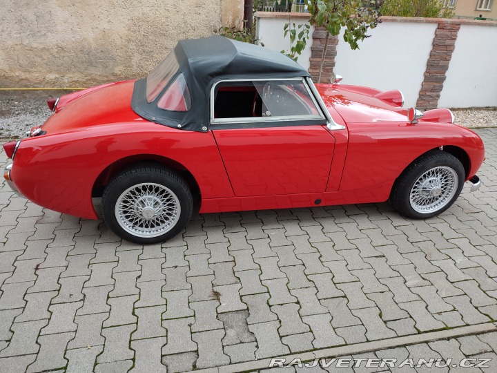 Austin Healey Sprite 1959
