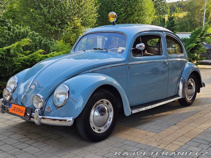 Volkswagen Brouk 1956