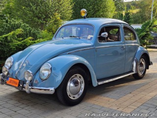 Volkswagen Brouk 1956