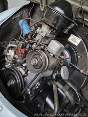 Volkswagen Brouk 1956