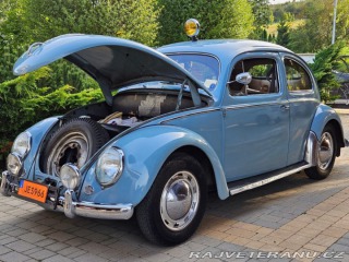Volkswagen Brouk 1956