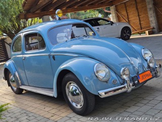 Volkswagen Brouk 1956