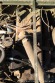 Jeep Willys 