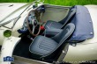 Austin Healey 100/4