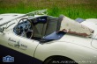 Austin Healey 100/4