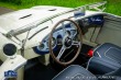 Austin Healey 100/4 SLEVA! 1953