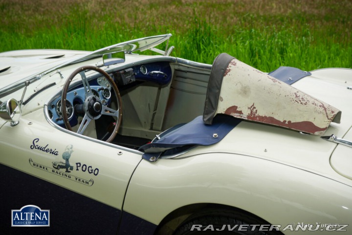 Austin Healey 100/4 SLEVA! 1953