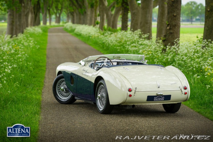 Austin Healey 100/4 SLEVA! 1953