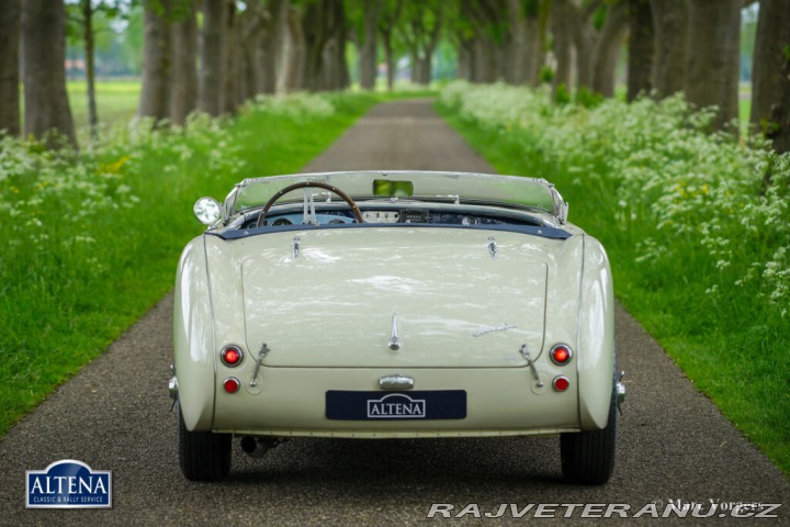 Austin Healey 100/4 SLEVA! 1953