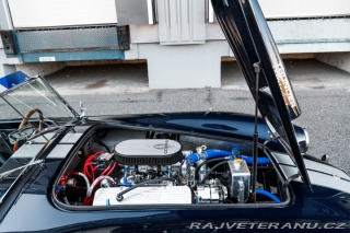 Cobra Ostatní modely Shelby Cobra AK 1967