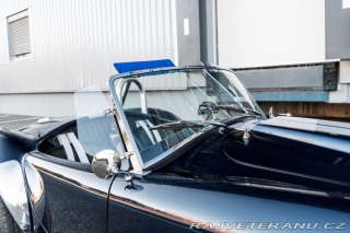 Cobra Ostatní modely Shelby Cobra AK 1967
