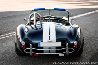 Cobra Ostatní modely Shelby Cobra AK 1967