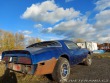 Pontiac Trans Am Firebird