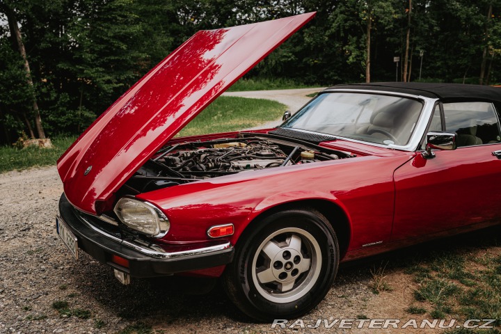 Jaguar XJS Convertible, COACH-BU 1987