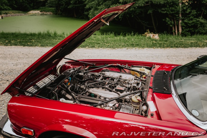 Jaguar XJS Convertible, COACH-BU 1987