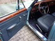 Jaguar Mark
