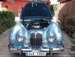Jaguar Mark