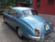 Jaguar Mark
