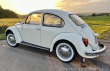Volkswagen Brouk Super Beetle German Edit