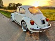 Volkswagen Brouk Super Beetle German Edit
