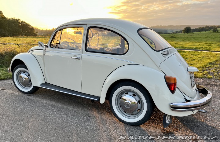Volkswagen Brouk Super Beetle German Edit