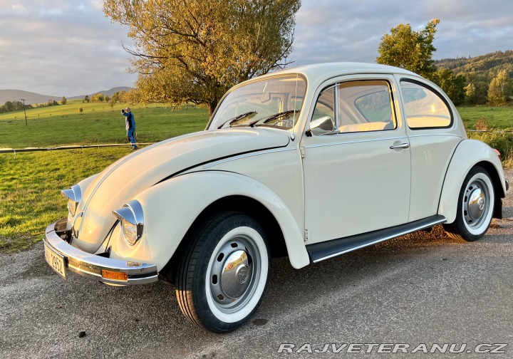Volkswagen Brouk Super Beetle German Edit 1973