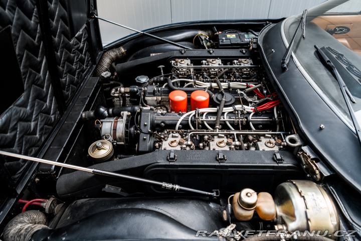 Ferrari 365 1972