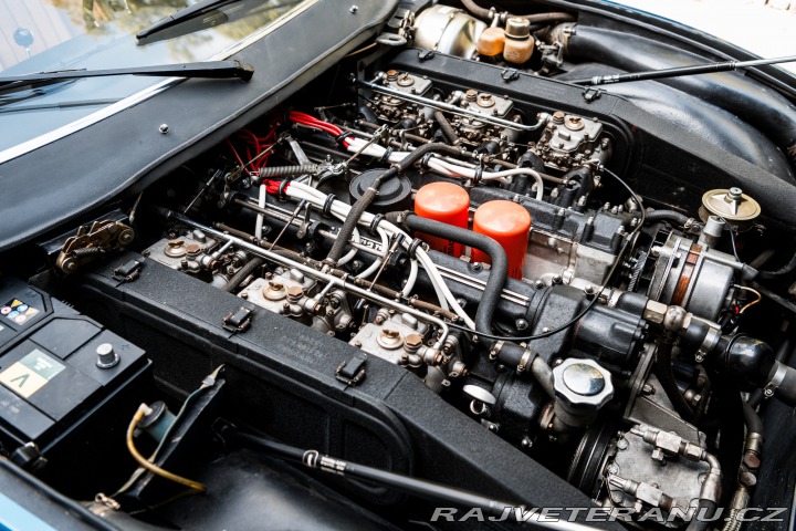 Ferrari 365 1972