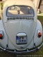 Volkswagen Brouk