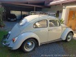 Volkswagen Brouk