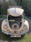 Volkswagen Brouk
